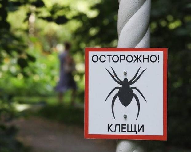 Почему раньше не было такого нашествия опасных клещей, а теперь их слишком много