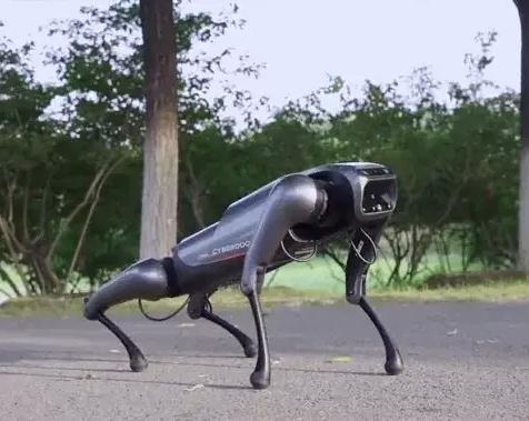Что умеет делать робособака Xiaomi CyberDog?